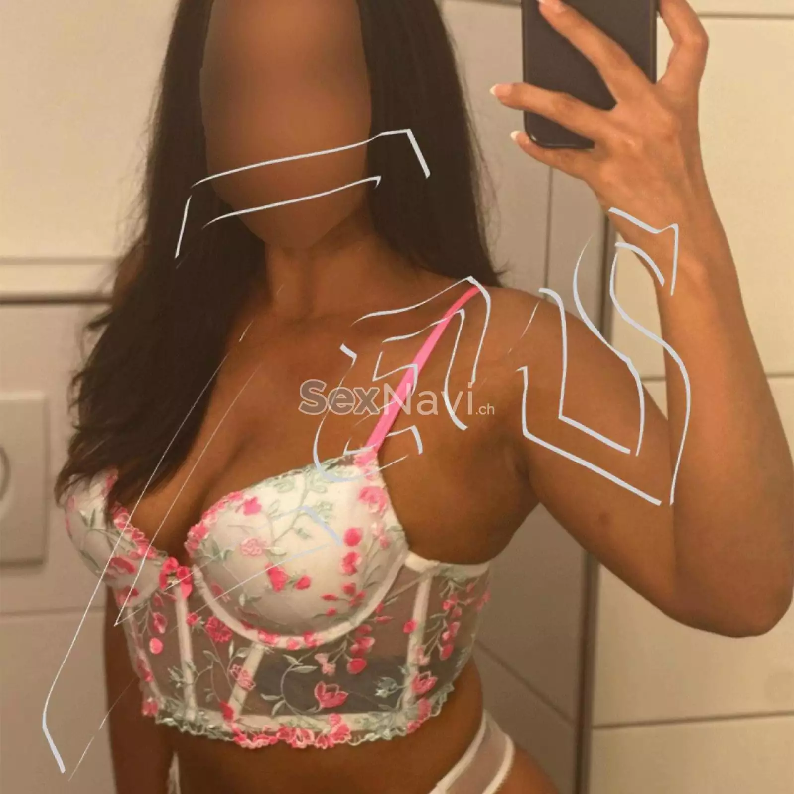 CAMELIA 11:00 Bern Umgebung, Aargau, Schweiz, Solothurn, Recherswil