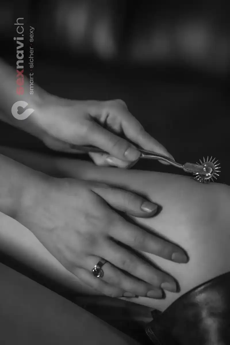 Lady Juna echtes BSDSM Bern Stadt, Basel, Basel, Aargau, Schweiz