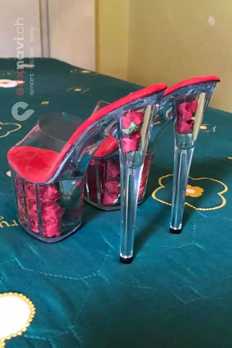 PIM ❌ Thai Schmusekatze ❌ Bern Stadt, Biel/Bienne, Schweiz, Biel/Bienne - Grenchen, Solothurn