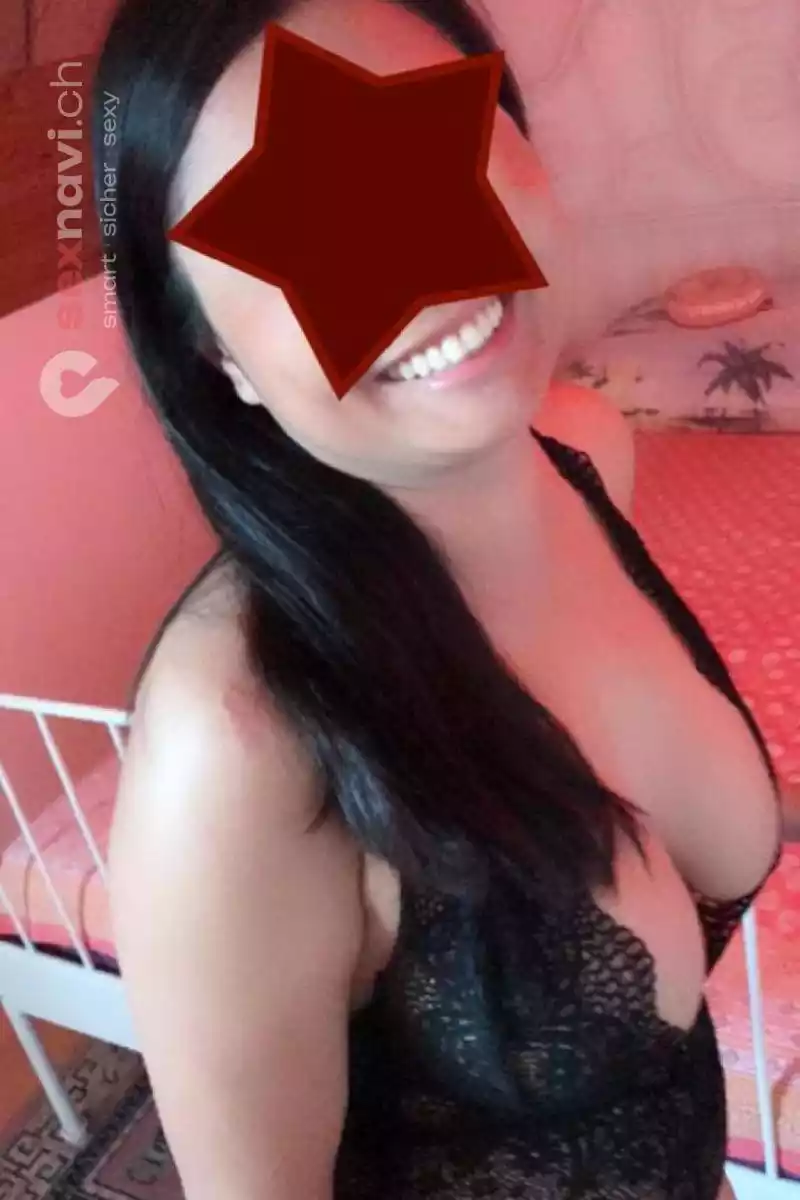 PIM ❌ Thai Schmusekatze ❌ Bern Stadt, Biel/Bienne, Schweiz, Biel/Bienne - Grenchen, Solothurn