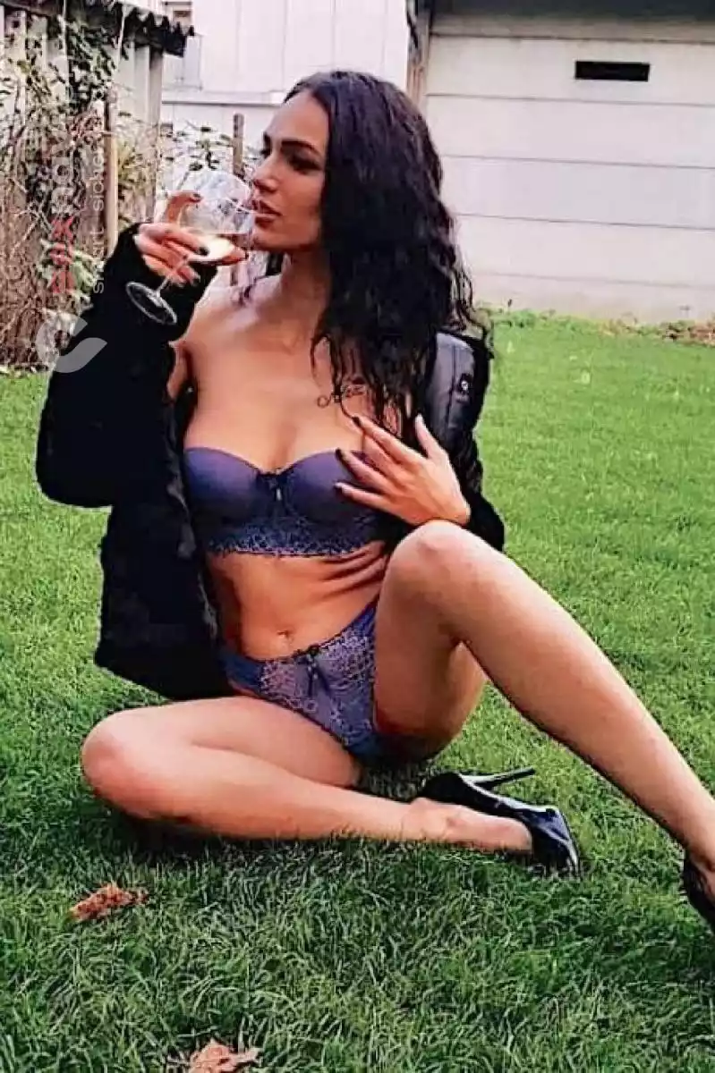 LEYLA Schwanzgierig und eng gebaut Basel, Basel, Schweiz