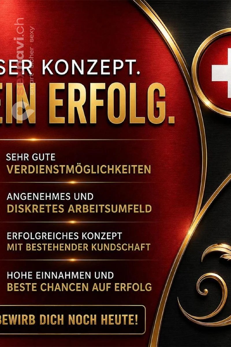 Privat Studio 🔥Seri&ouml;s viel Geld verdienen Luzern, Schweiz, Luzern