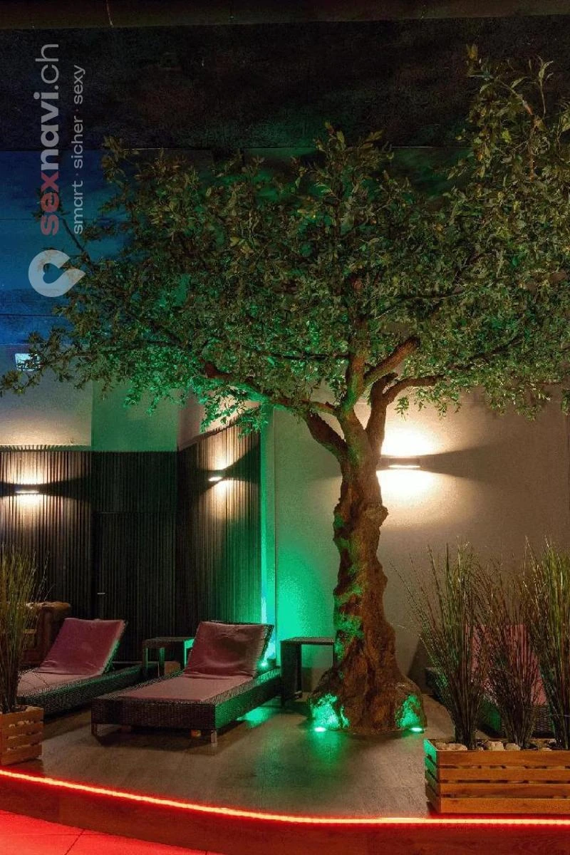 SEX PARK CLUB NO 1 MITTELLAND Z&uuml;rich Stadt, Aargau, Schweiz, Solothurn, Oberentfelden