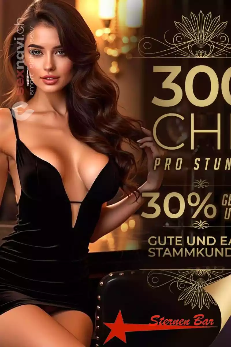 1000 CHF/Tag m&ouml;glich G&auml;ste aus 3 L&auml;ndern St.Gallen, Altst&auml;tten SG, Schweiz
