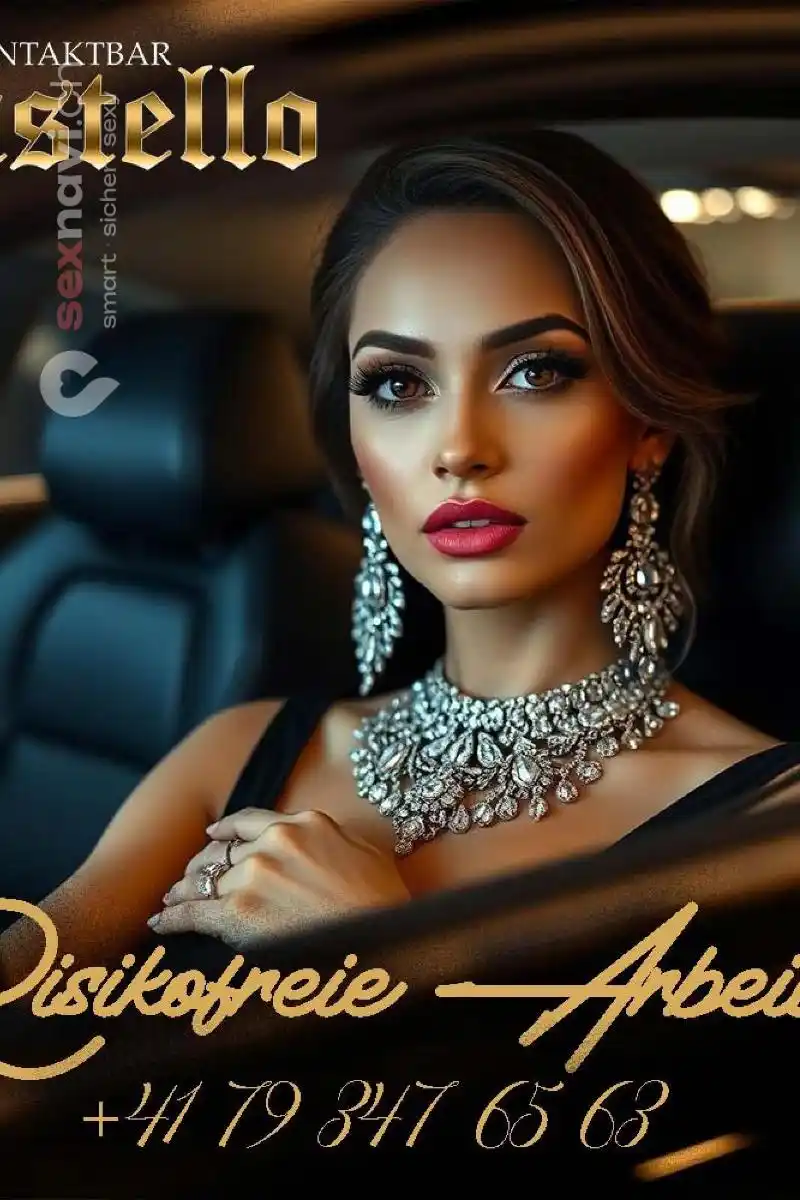 Risikofreie Arbeit Grosse Stammkundschaft Schweiz, Luzern , Brunnen, Schwyz