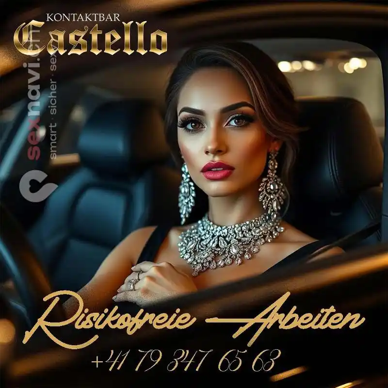 Risikofreie Arbeit Grosse Stammkundschaft Schweiz, Luzern , Brunnen, Schwyz