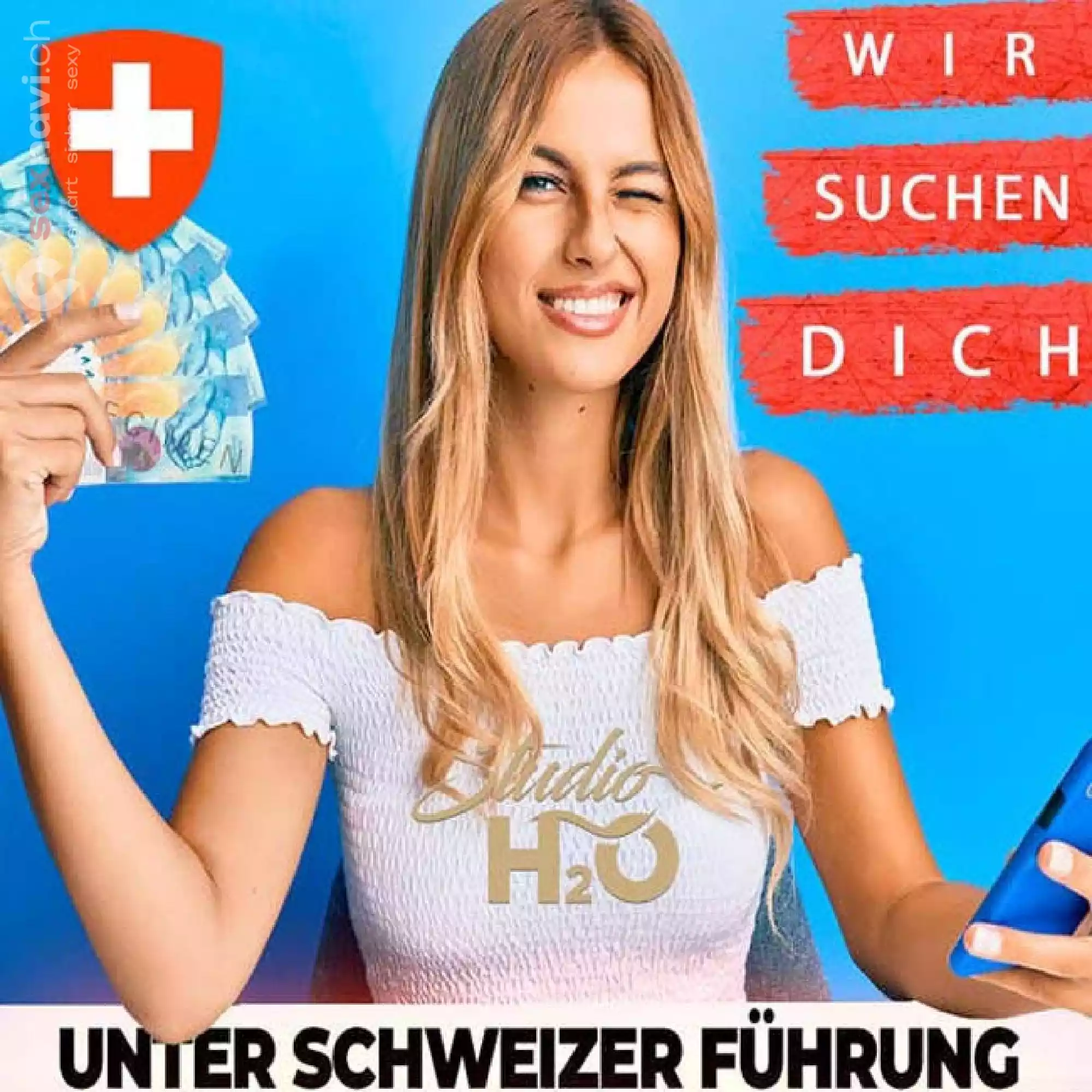 Schweizer Führung Kleines Team Othmarsingen, Aargau, Schweiz