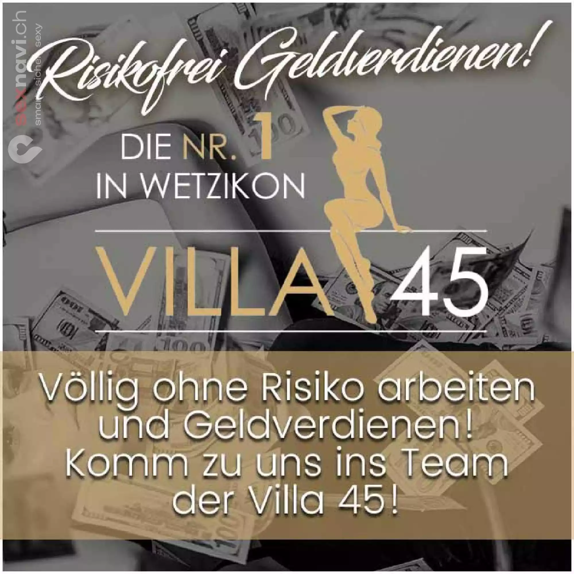 Top Job in der Villa 🌟 Gutes Geld verdienen 🌟 Zürich Umgebung, Schweiz, Wetzikon ZH