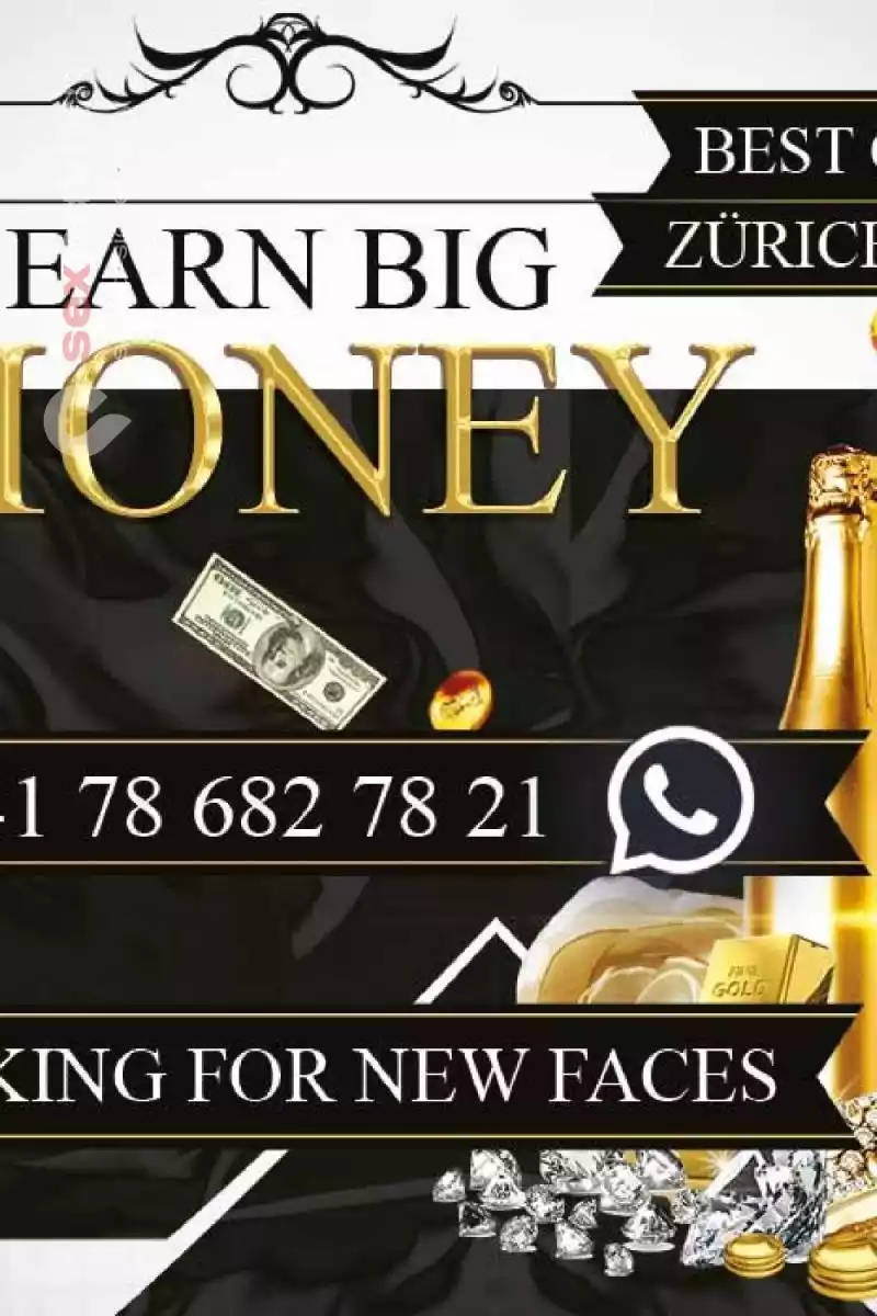 Arbeiten ohne Risiko Keine Fixkosten! Zürich Umgebung, Zürich, Zürich Stadt, Aargau, Schweiz