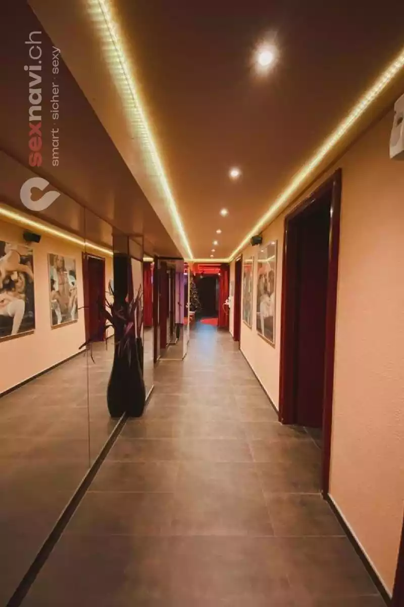 Your own room 💣 Make dreams true 💣 Zürich Umgebung, Zürich, Zürich Stadt, Aargau, Schweiz